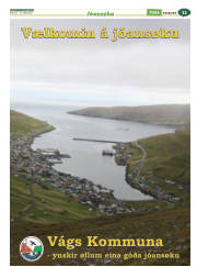 Síða 35