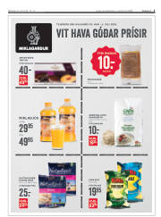 Síða 3
