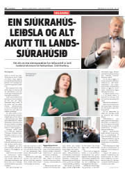 Síða 14
