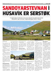 Síða 19
