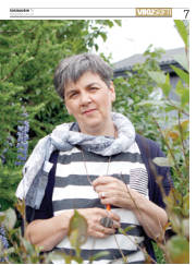 Síða 7