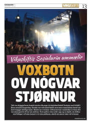 Síða 13