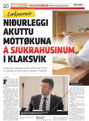 Síða 20