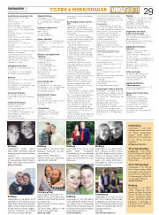 Síða 29