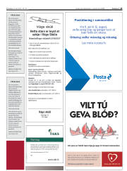Síða 13