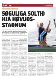 Síða 20