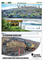 Síða 30