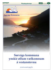 Síða 31
