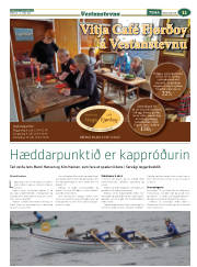 Síða 35