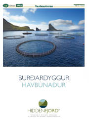 Síða 36