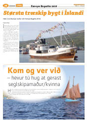 Síða 40