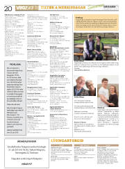 Síða 20