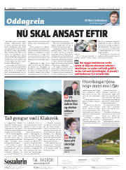 Síða 2