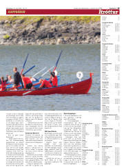 Síða 19