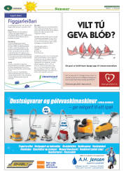 Síða 28