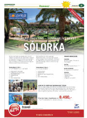 Síða 29