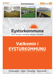 Síða 33
