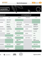 Síða 41