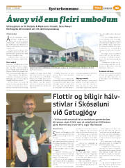 Síða 45