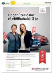 Síða 54