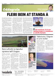 Síða 2