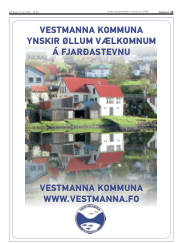 Síða 11