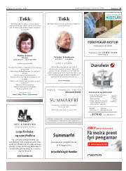 Síða 17