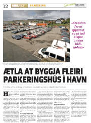 Síða 12