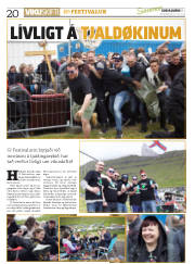 Síða 20