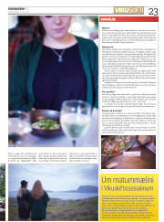 Síða 23