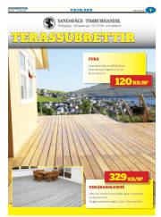 Síða 31