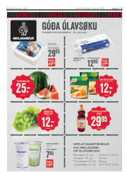 Síða 3