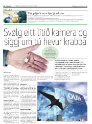 Síða 14