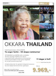 Síða 3