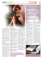 Síða 5