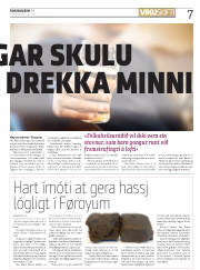 Síða 7