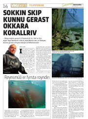 Síða 14