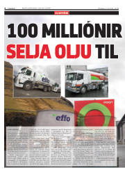 Síða 6
