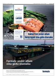 Síða 17