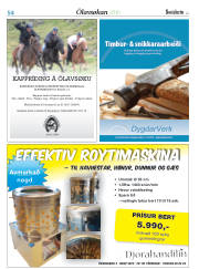 Síða 78
