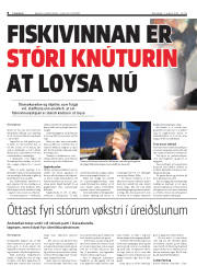 Síða 8