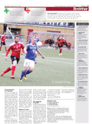 Síða 19