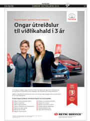 Síða 45