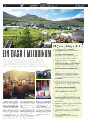 Síða 46