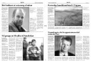 Síða 3