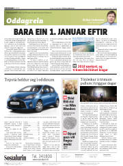 Síða 2
