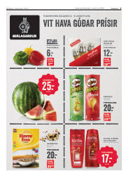 Síða 3
