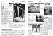 Síða 4