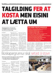 Síða 8