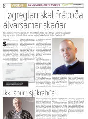Síða 8